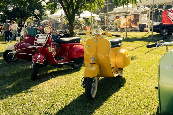 Pull pour noël femme : le guide ultime pour un style festif.