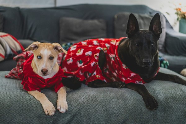 Les meilleurs outfits femme pour chaque occasion en 2024